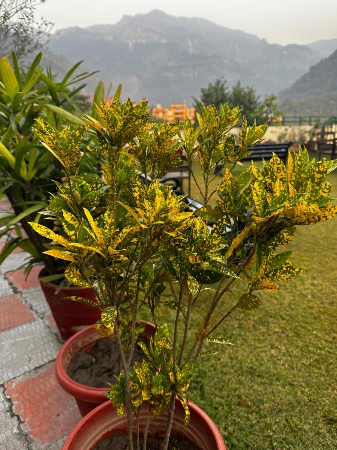 Hotel Dewa Retreat- A Himalayan Boutique Hotel Rishīkesh Exterior foto