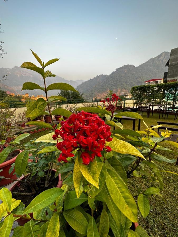 Hotel Dewa Retreat- A Himalayan Boutique Hotel Rishīkesh Exterior foto